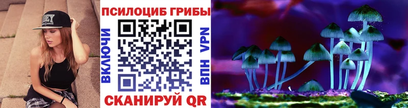 Псилоцибиновые грибы GOLDEN TEACHER  Данилов 